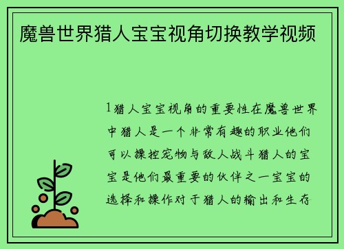魔兽世界猎人宝宝视角切换教学视频