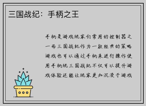 三国战纪：手柄之王