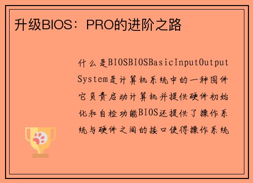 升级BIOS：PRO的进阶之路